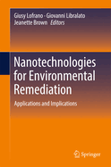 Nanotechnologies for Environmental Remediation: Applications and Implications