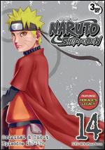 Naruto: Shippuden - Box Set 14 [3 Discs]