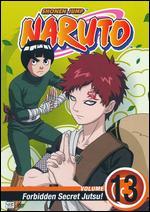 Naruto, Vol. 13 - 