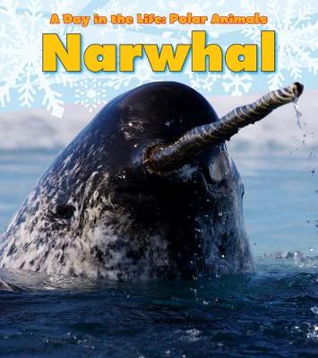 Narwhal - Marsico, Katie
