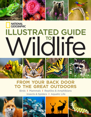 National Geographic Illustrated Guide to Wildlife: From Your Back Door to the Great Outdoors - National Geographic