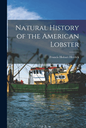 Natural History of the American Lobster