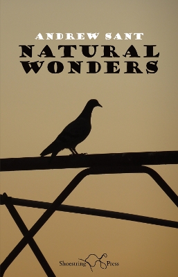 Natural Wonders - Sant, Andrew, and Typesetters, The Book (Designer)