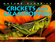 Nature Close Up: Crickets & Grasshoppers