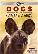 Nature: Dogs in the Land of Lions - Robyn Keene-Young