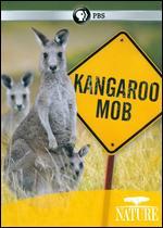 Nature: Kangaroo Mob