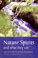 Nature Spirits and What They Say: Interviews with Verena Holstein