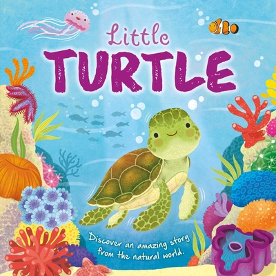 Nature Stories: Little Turtle-Discover an Amazing Story from the Natural World: Padded Board Book - Igloobooks