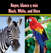 Negro, Blanco Y Mas: Black, White, and More