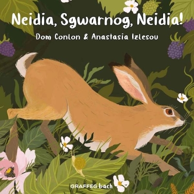 Neidia, Sgwarnog, Neidia! - Conlon, Dom, and Pierce, Anwen (Translated by), and Izlesou, Anastasia (Illustrator)