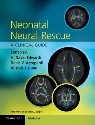 Neonatal Neural Rescue: A Clinical Guide - Edwards, A. David (Editor), and Azzopardi, Denis V. (Editor), and Gunn, Alistair J. (Editor)