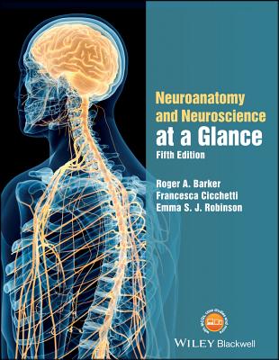 Neuroanatomy and Neuroscience at a Glance - Barker, Roger A., and Cicchetti, Francesca, and Robinson, Emma S. J.