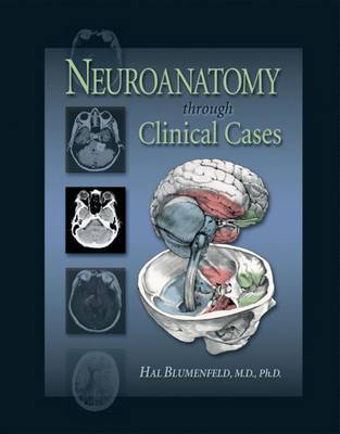 Neuroanatomy Through Clinical Cases - Blumenfeld, Hal