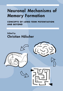 Neuronal Mechanisms of Memory Formation: Concepts of Long-Term Potentiation and Beyond