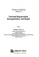 Neuronal Regeneration, Reorganization, and Repair