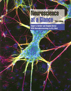 Neuroscience at a Glance