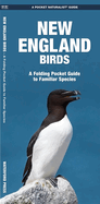 New England Birds: A Folding Pocket Guide to Familiar Species