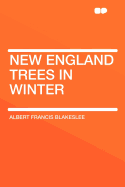 New England Trees in Winter