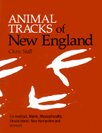 New England - Stall, Chris