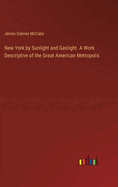 New York by Sunlight and Gaslight. A Work Descriptive of the Great American Metropolis