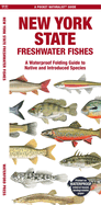 New York State Freshwater Fishes: A Waterproof Folding Guide to Native and Introduced Species