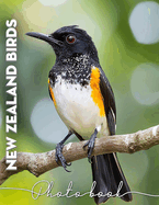 New Zealand Birds Photo Book: Explore 40 Stunning Images Showcasing Unique Avian Species Found In New Zealand