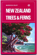 New Zealand Trees and Ferns