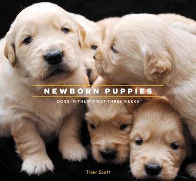 Newborn Puppies - Scott, Traer (Photographer)