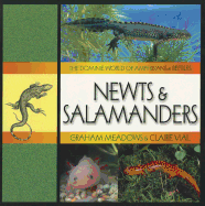 Newts & Salamanders