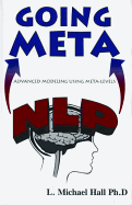 Nlp Going Meta: Advanced Modeling Using Meta-Levels