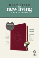 NLT Personal Size Giant Print Bible, Filament Enabled Edition (Red Letter, Leatherlike, Aurora Cranberry)