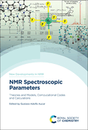 NMR Spectroscopic Parameters: Theories and Models, Computational Codes and Calculations