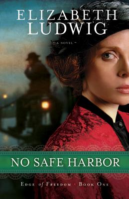 No Safe Harbor - Ludwig, Elizabeth