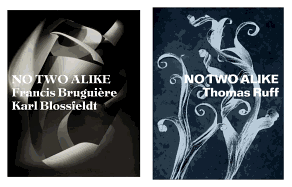 No Two Alike: Karl Blossfeldt, Francis Bruguire, Thomas Ruff