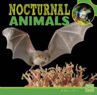 Nocturnal Animals