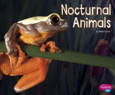 Nocturnal Animals - Dunne, Abbie