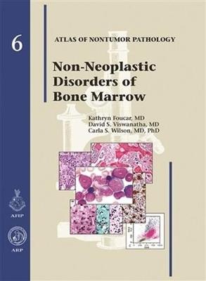 Non-Neoplastic Diseases of Bone Marrow - Noffsinger, Amy, and Viswanatha, David S., and Wilson, Carla S.