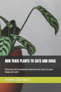 Non Toxic Plants to Cats and Dogs: Discover 36 houseplants that are not toxic to your dogs and cats