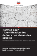Normes pour l'identification des dfauts des chausses souples