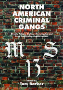 North American Criminal Gangs: Street, Prison, Outlaw Motorcycle, and Drug Trafficking Organizations