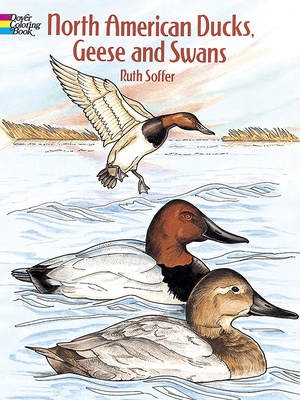 North American Ducks, Geese and Swans Coloring Book - Soffer