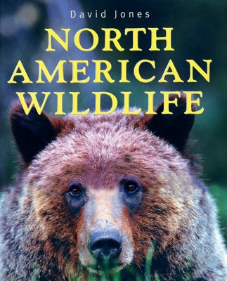 North American Wildlife - Jones, David, Mr.