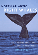 North Atlantic Right Whales: From Hunted Leviathan to Conservation Icon