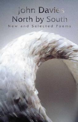 North by South: New and Selected Poems - Davies, John, Sir