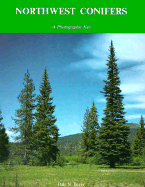Northwest Conifers: A Photographic Key