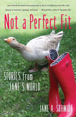 Not a Perfect Fit: Stories from Jane's World - Schmidt, Jane A