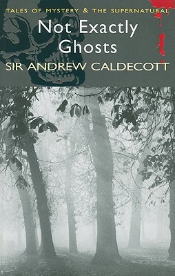 Not Exactly Ghosts: AND Fires Burn Blue - Caldecott, Andrew, Sir