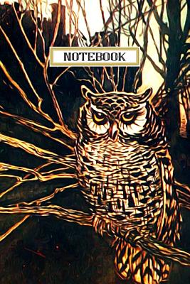 Notebook: Vintage Owl Rackham, 6x9 Inch Dated Journal Notebook, 200-Page - Papers, Ebru