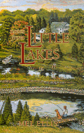 Notes from Little Lakes
