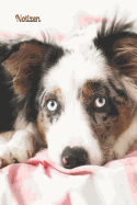 Notizen: Notizbuch Notizen Hund Aussie Australian Shepherd